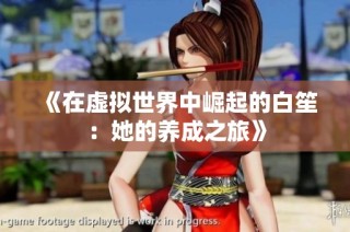 《在虚拟世界中崛起的白笙：她的养成之旅》