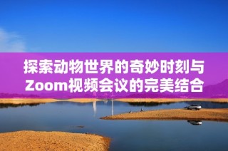 探索动物世界的奇妙时刻与Zoom视频会议的完美结合