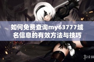 如何免费查询my63777域名信息的有效方法与技巧