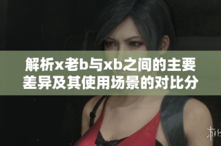 解析x老b与xb之间的主要差异及其使用场景的对比分析