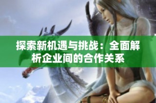 探索新机遇与挑战：全面解析企业间的合作关系