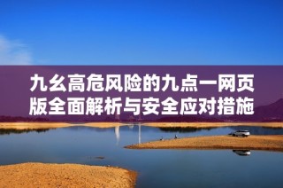 九幺高危风险的九点一网页版全面解析与安全应对措施