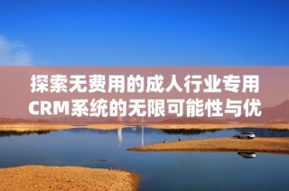 探索无费用的成人行业专用CRM系统的无限可能性与优势