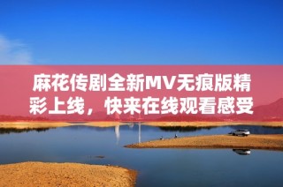 麻花传剧全新MV无痕版精彩上线，快来在线观看感受魅力吧