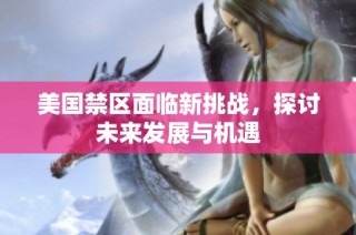 美国禁区面临新挑战，探讨未来发展与机遇