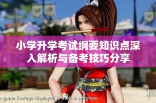 小学升学考试纲要知识点深入解析与备考技巧分享