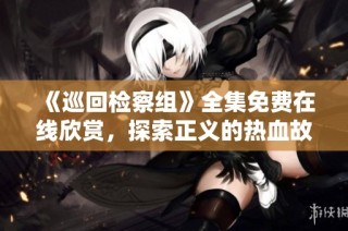《巡回检察组》全集免费在线欣赏，探索正义的热血故事