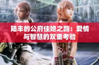 陆丰的公府佳媳之路：爱情与智慧的双重考验