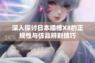 深入探讨日本插槽X8的正规性与仿品辨别技巧