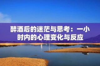 醉酒后的迷茫与思考：一小时内的心理变化与反应