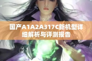 国产A1A2A317C新机型详细解析与评测报告