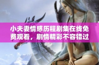 小夫妻情感历程剧集在线免费观看，剧情精彩不容错过