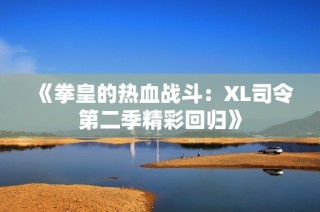 《拳皇的热血战斗：XL司令第二季精彩回归》