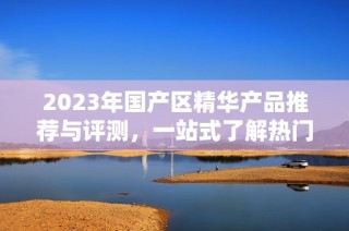 2023年国产区精华产品推荐与评测，一站式了解热门选择