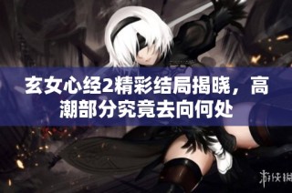 玄女心经2精彩结局揭晓，高潮部分究竟去向何处