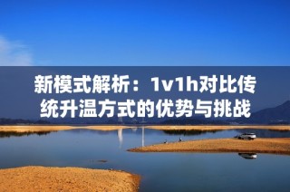新模式解析：1v1h对比传统升温方式的优势与挑战
