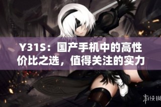 Y31S：国产手机中的高性价比之选，值得关注的实力新秀