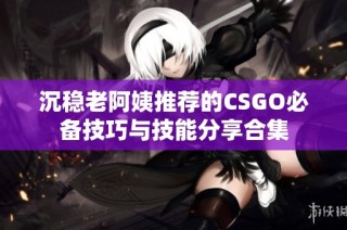 沉稳老阿姨推荐的CSGO必备技巧与技能分享合集