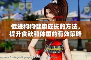 促进狗狗健康成长的方法，提升食欲和体重的有效策略