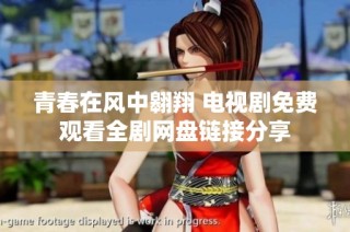 青春在风中翱翔 电视剧免费观看全剧网盘链接分享