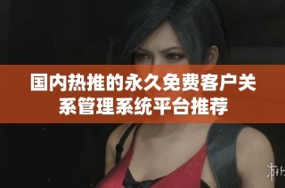 国内热推的永久免费客户关系管理系统平台推荐