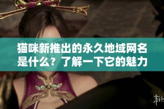 猫咪新推出的永久地域网名是什么？了解一下它的魅力与含义