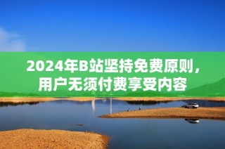 2024年B站坚持免费原则，用户无须付费享受内容