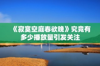 《寂寞空庭春欲晚》究竟有多少播放量引发关注