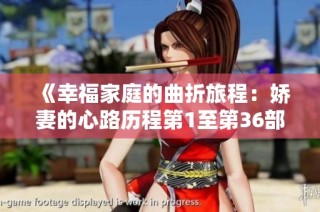 《幸福家庭的曲折旅程：娇妻的心路历程第1至第36部分》