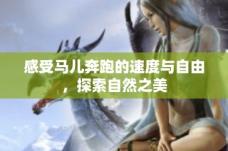 感受马儿奔跑的速度与自由，探索自然之美