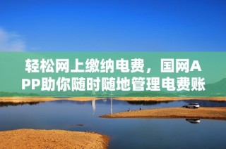 轻松网上缴纳电费，国网APP助你随时随地管理电费账单
