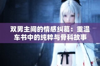 双男主间的情感纠葛：重温车书中的纯粹与骨科故事
