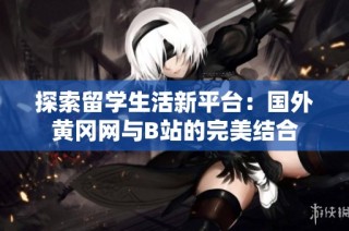 探索留学生活新平台：国外黄冈网与B站的完美结合
