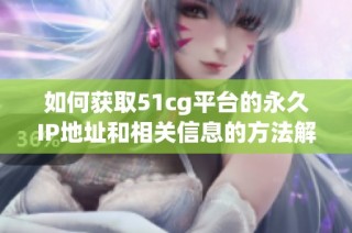 如何获取51cg平台的永久IP地址和相关信息的方法解析