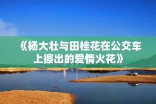 《杨大壮与田桂花在公交车上擦出的爱情火花》