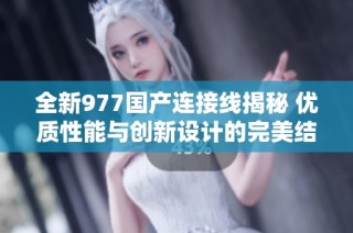全新977国产连接线揭秘 优质性能与创新设计的完美结合
