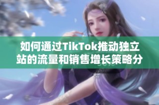 如何通过TikTok推动独立站的流量和销售增长策略分析