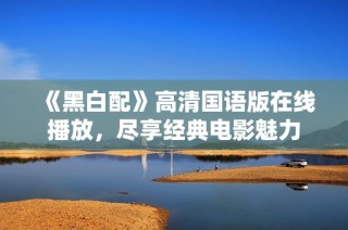 《黑白配》高清国语版在线播放，尽享经典电影魅力