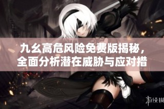 九幺高危风险免费版揭秘，全面分析潜在威胁与应对措施