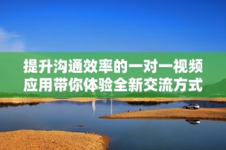 提升沟通效率的一对一视频应用带你体验全新交流方式