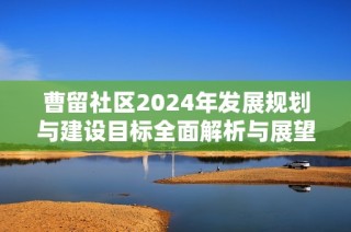 曹留社区2024年发展规划与建设目标全面解析与展望