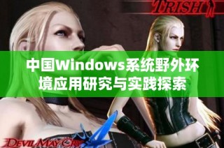 中国Windows系统野外环境应用研究与实践探索