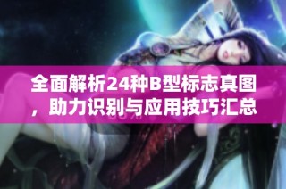 全面解析24种B型标志真图，助力识别与应用技巧汇总