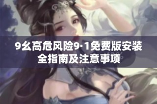 9幺高危风险9·1免费版安装全指南及注意事项