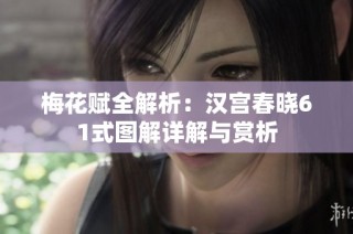 梅花赋全解析：汉宫春晓61式图解详解与赏析