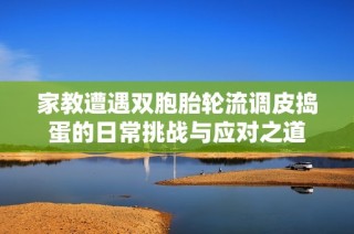 家教遭遇双胞胎轮流调皮捣蛋的日常挑战与应对之道