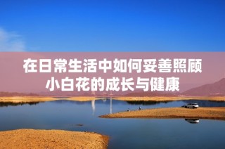 在日常生活中如何妥善照顾小白花的成长与健康