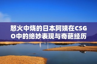 怒火中烧的日本阿姨在CSGO中的绝妙表现与奇葩经历