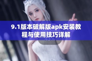 9.1版本破解版apk安装教程与使用技巧详解