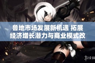 鲁地市场发展新机遇 拓展经济增长潜力与商业模式改革